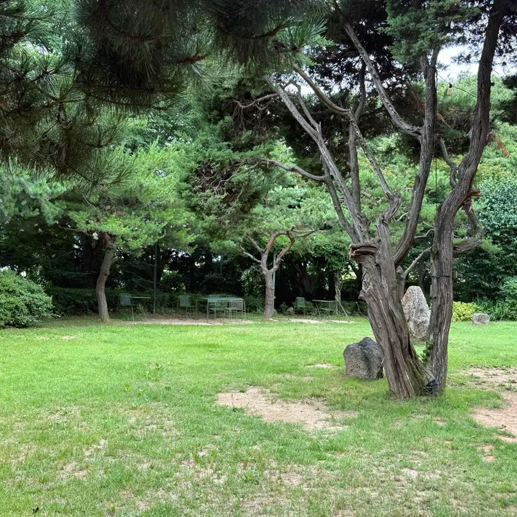 헤이더그린 사진