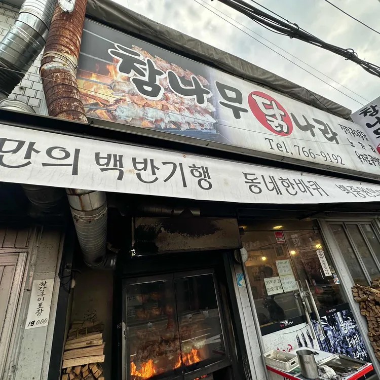 참나무 닭나라 사진