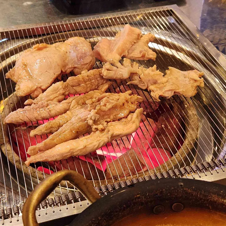닭장 사진