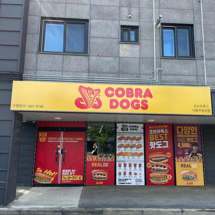코브라독스 사진