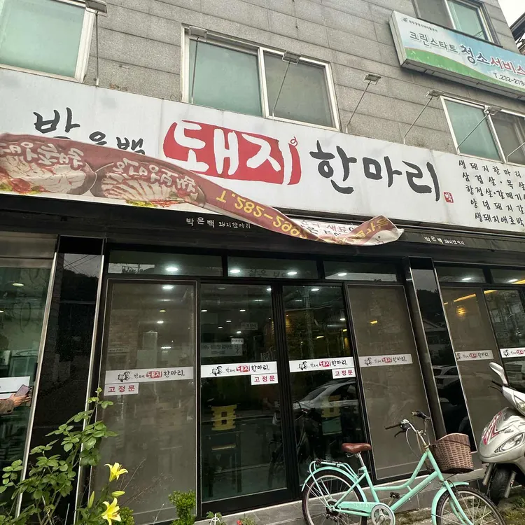 돼지한마리 사진