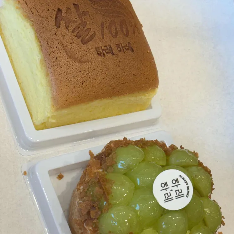 하레하레 사진