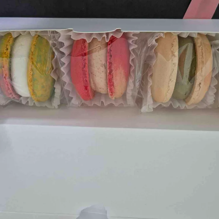 로아지스 사진