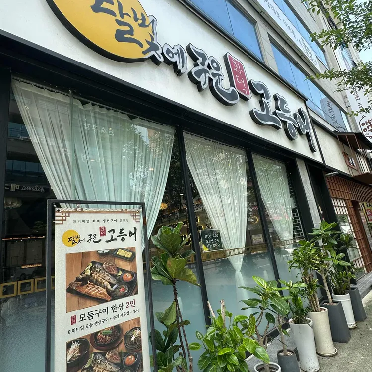 달빛에구운고등어 사진