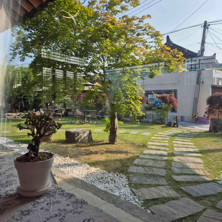 선화 사진