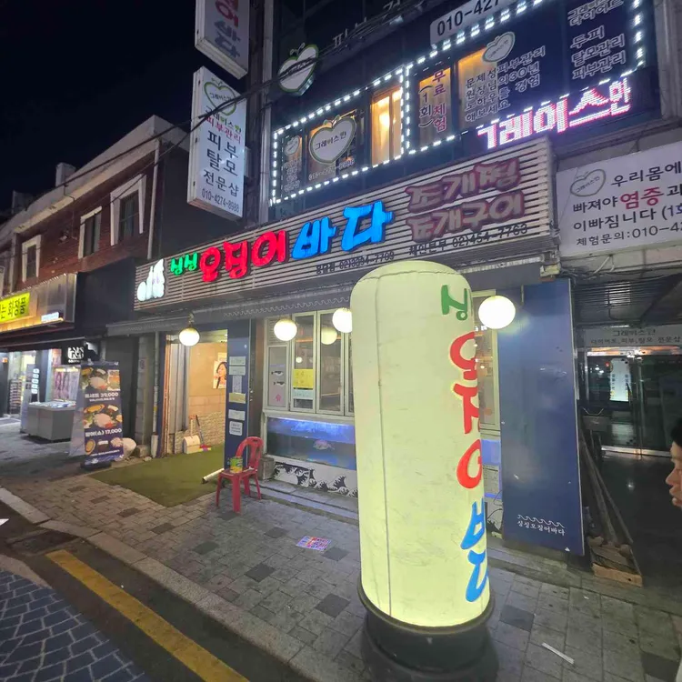 싱싱오징어바다 사진