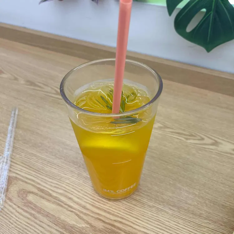 아임일리터 사진