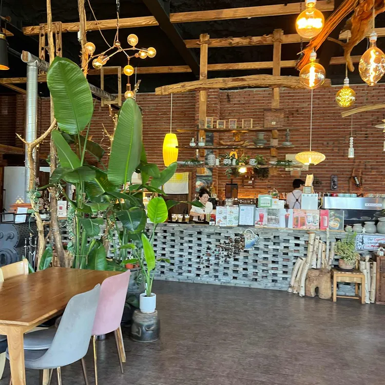 라무즈 사진