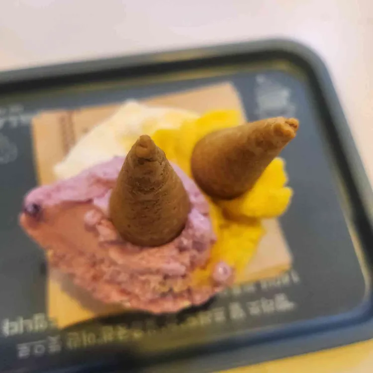 빨라쪼 델프레도 사진