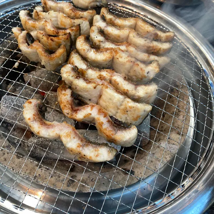 황금장어 사진