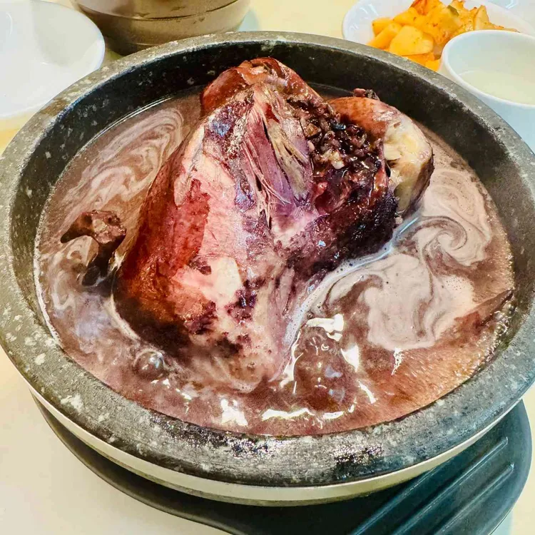 파낙스 사진