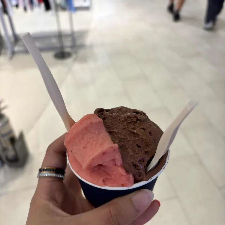 젤라띠젤라띠 사진