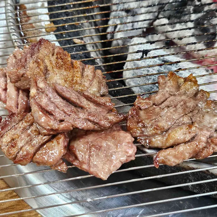 제주갈매기 사진