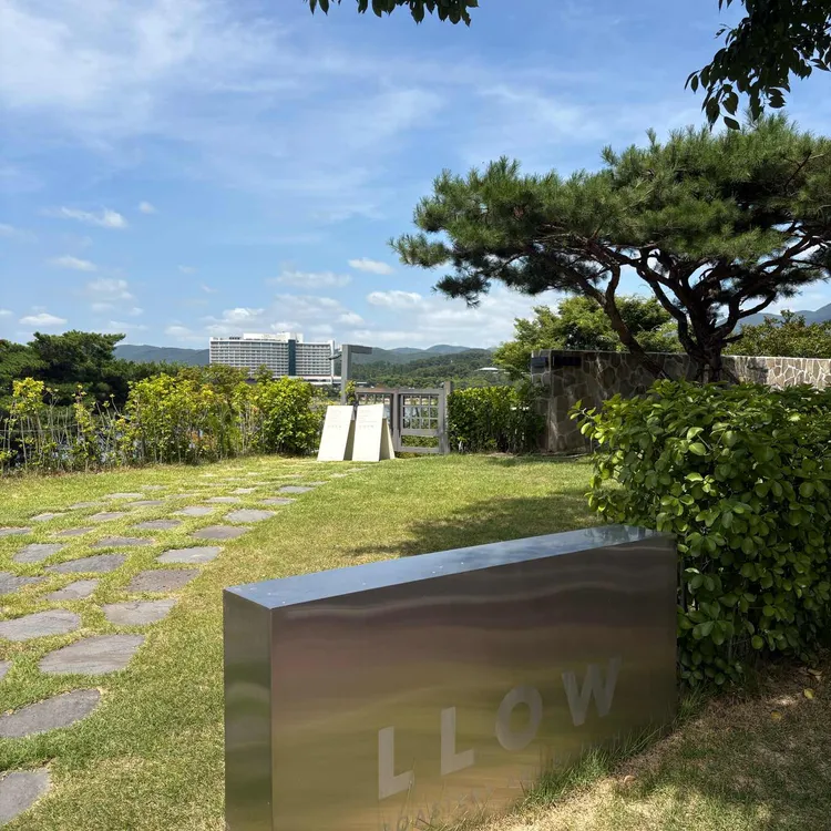 엘로우 사진