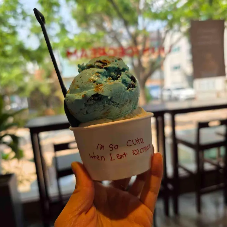 오오스 사진