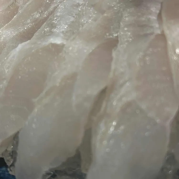 삼부자활어포차 사진
