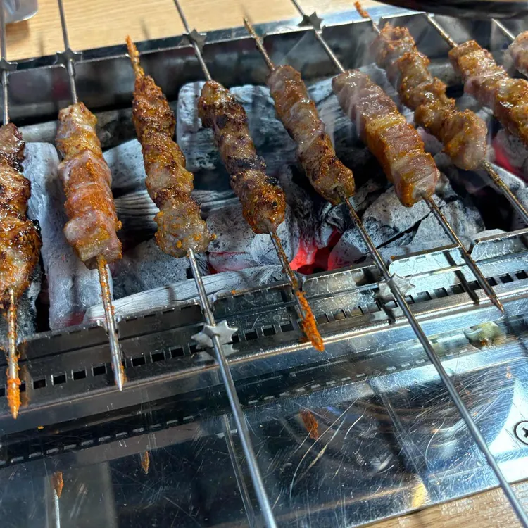 꼬치양 사진