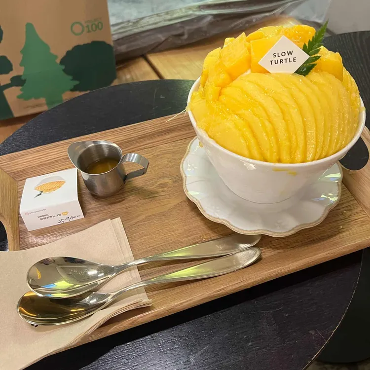 슬로우터틀 사진