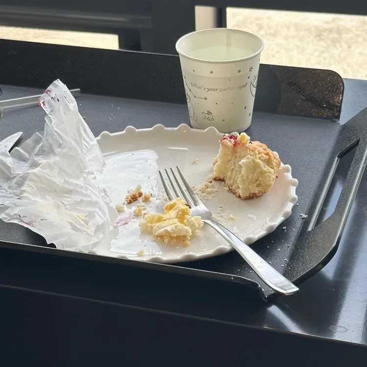 오프오 사진