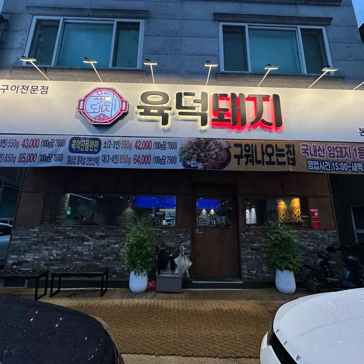 육덕돼지 사진
