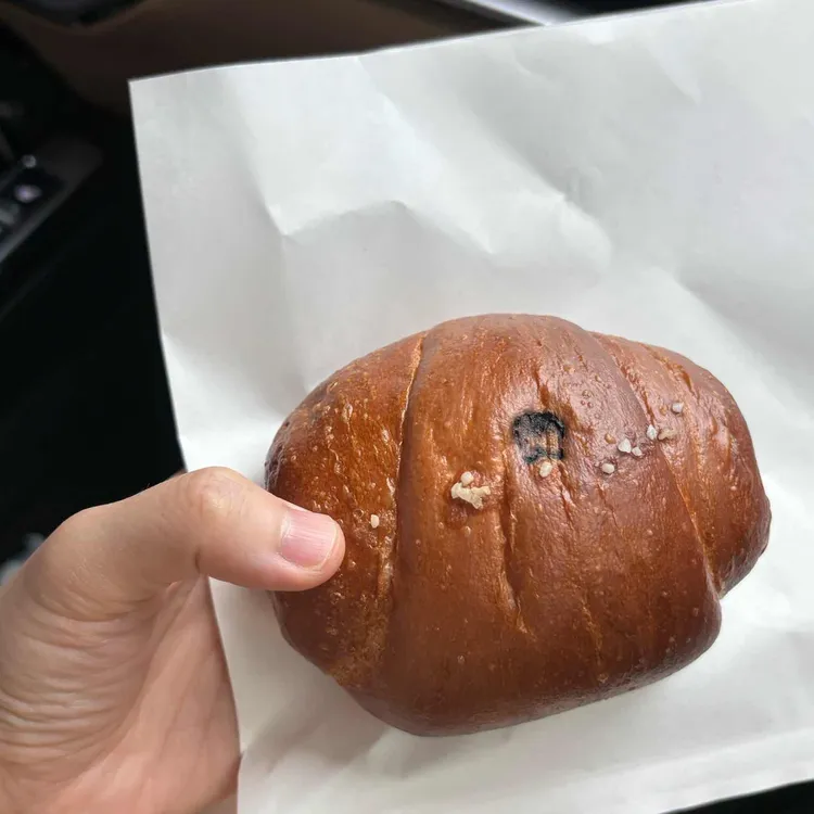 머즐스 사진