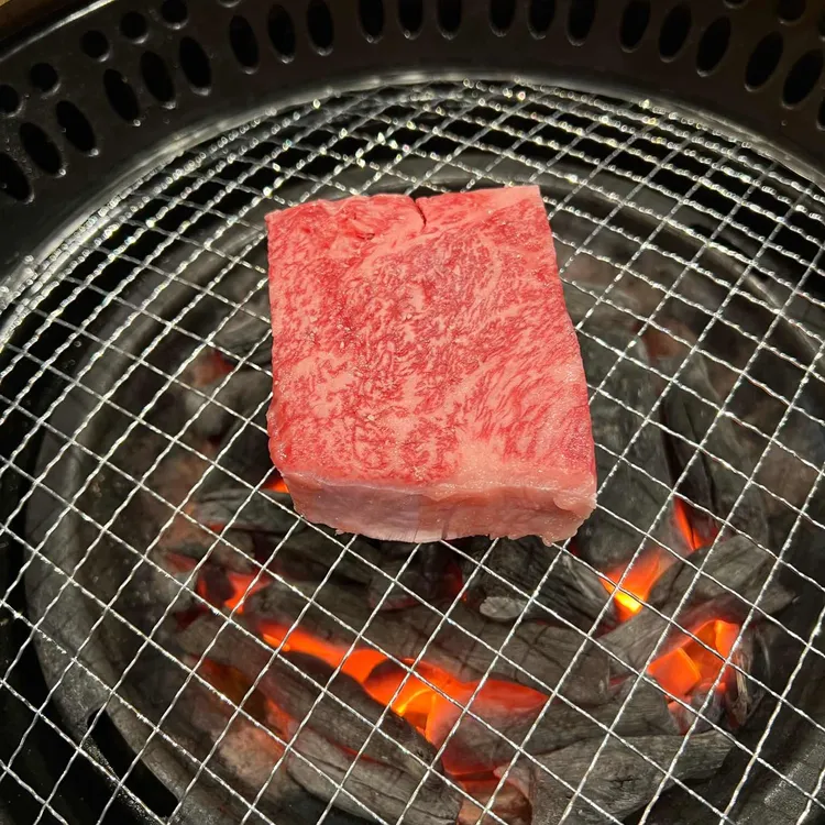 철마 한우 수목원 사진