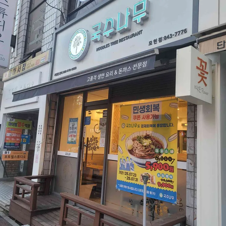 국수나무 사진