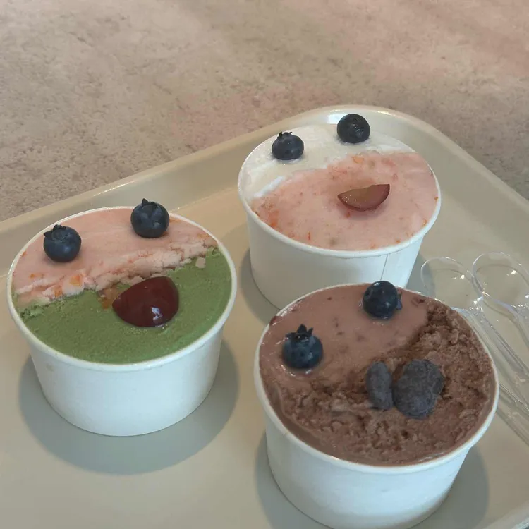 누볼라 사진
