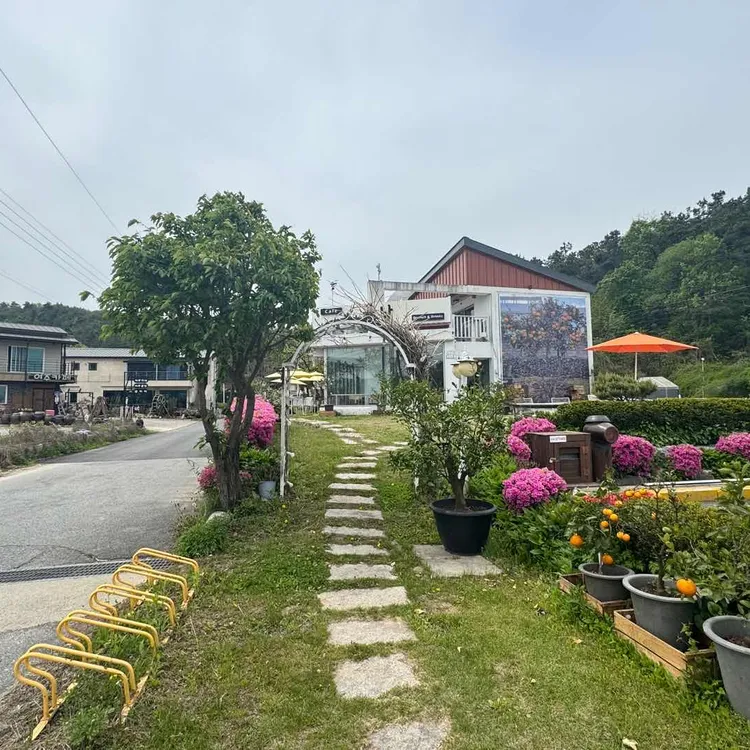 카페 귤낭 사진