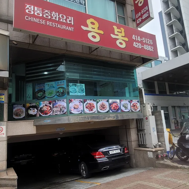 용봉 사진