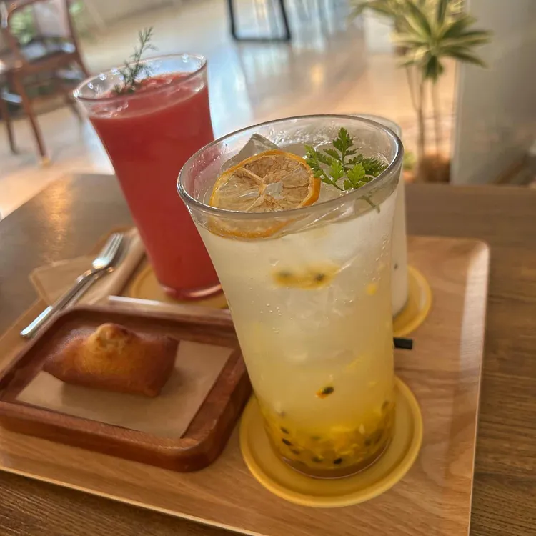 피노 사진
