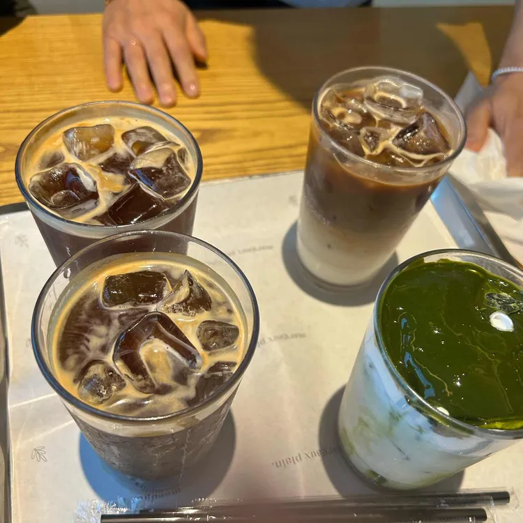 마고 포레스트 사진