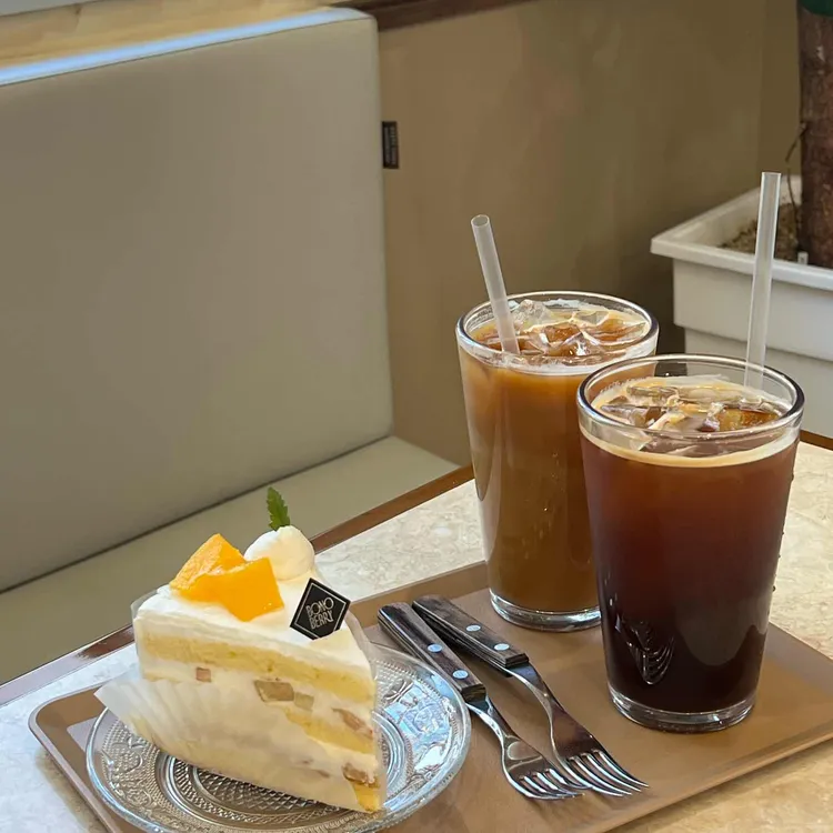 보노베리 사진