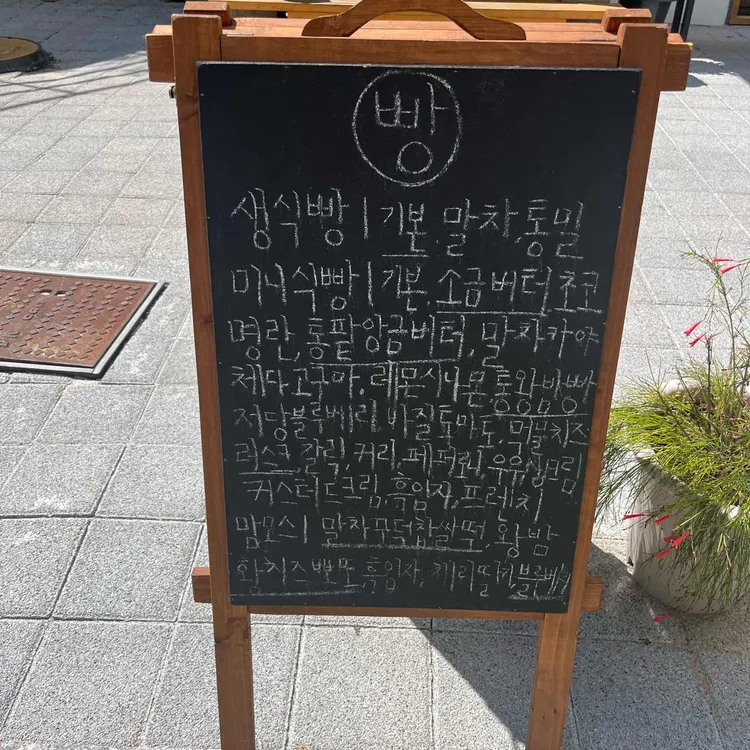 밀빛 사진
