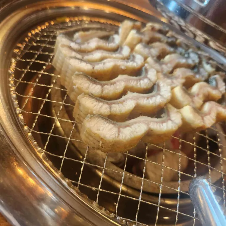 청춘민물장어 사진