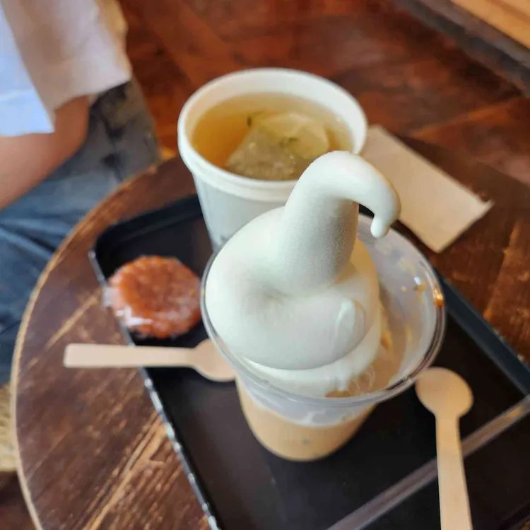 솔 사진