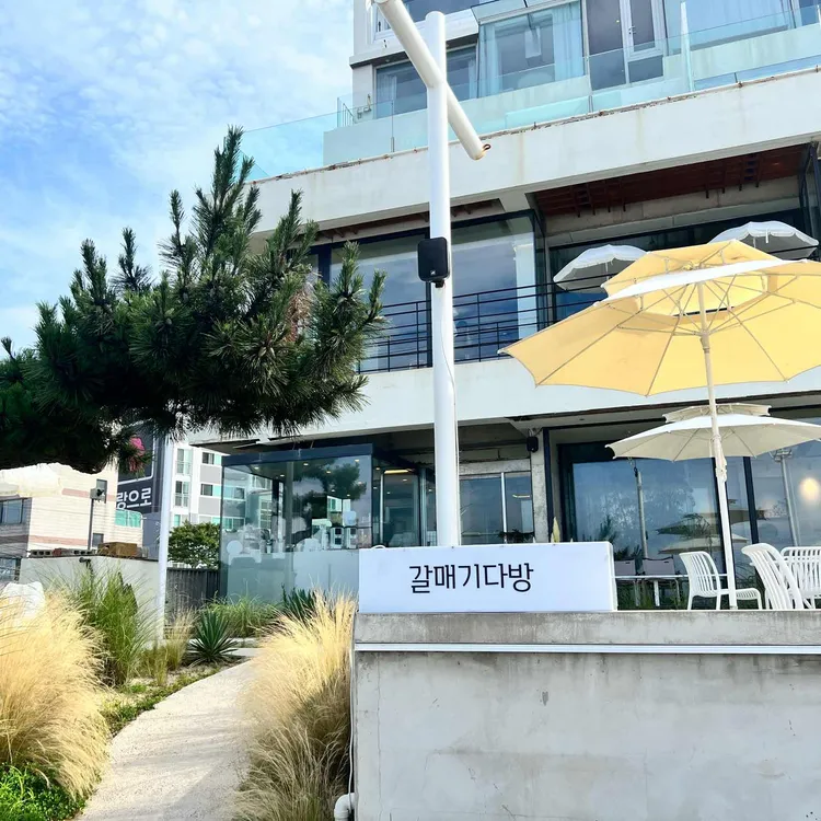 갈매기다방 사진