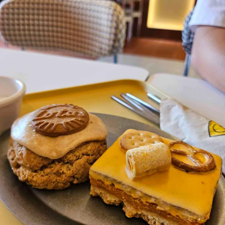 헤이스콘 사진