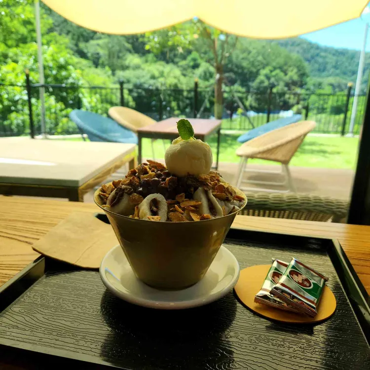 카페 카노푸스 사진