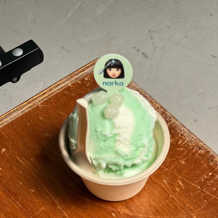 아우치 사진