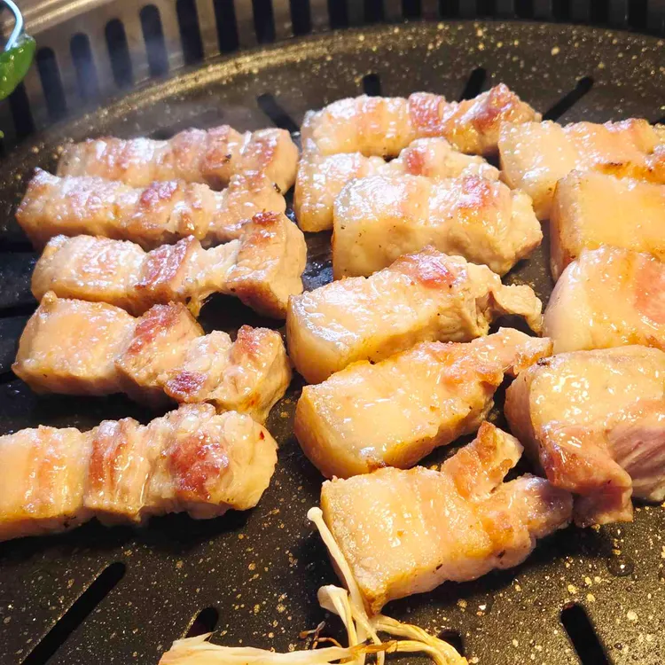 모티 사진
