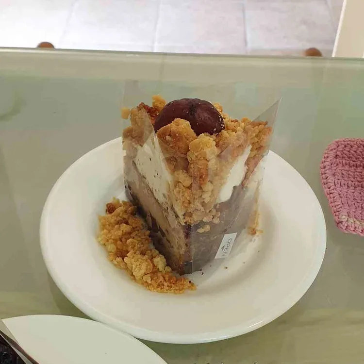 레코드시즌 사진