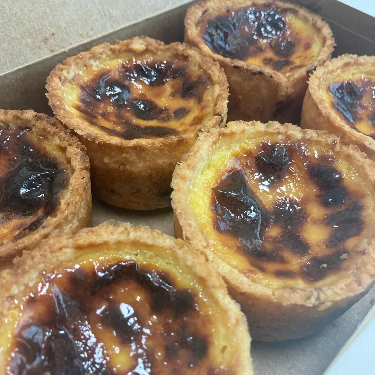 인비토 사진