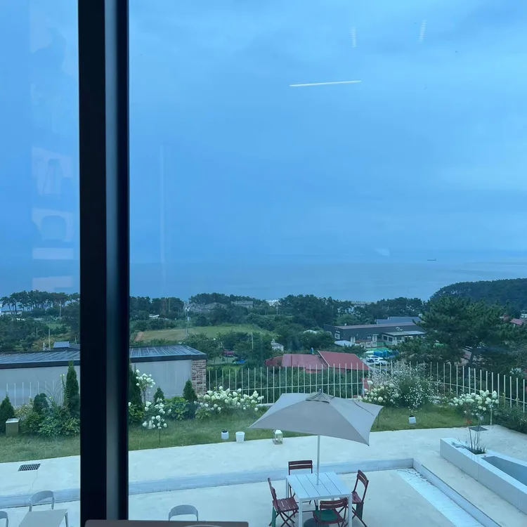 프림 사진