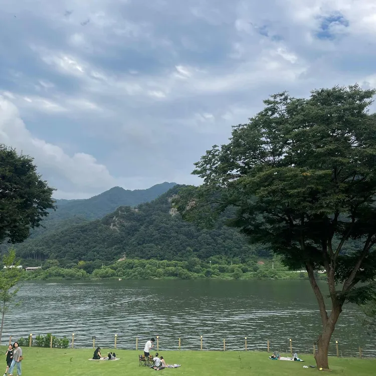 브리끄 사진