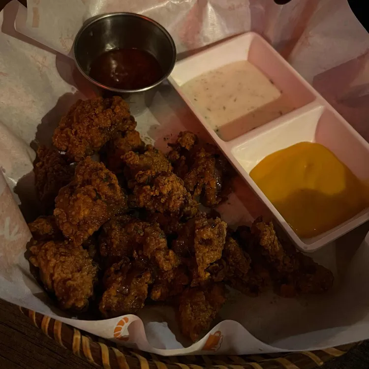 치치 사진