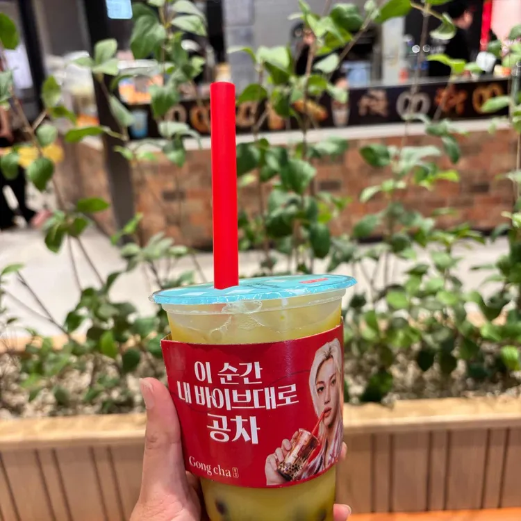 공차 사진