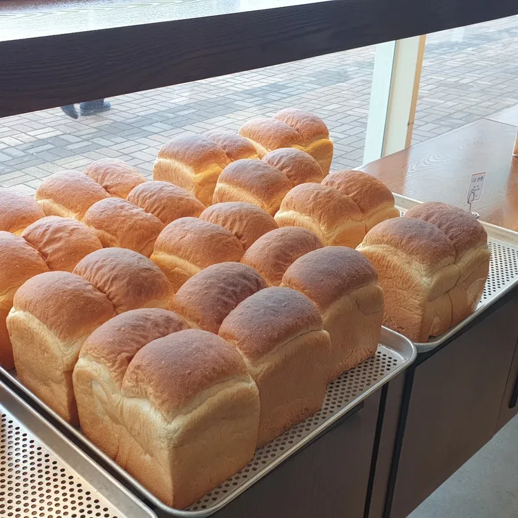 파리바게뜨 일산웨스턴점 - 일산 케이크, 빵 맛집 | 다이닝코드, 빅데이터 맛집검색