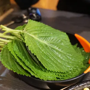 오징어데이 리뷰 사진