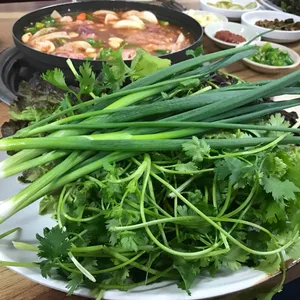 시집안간돼지 사진